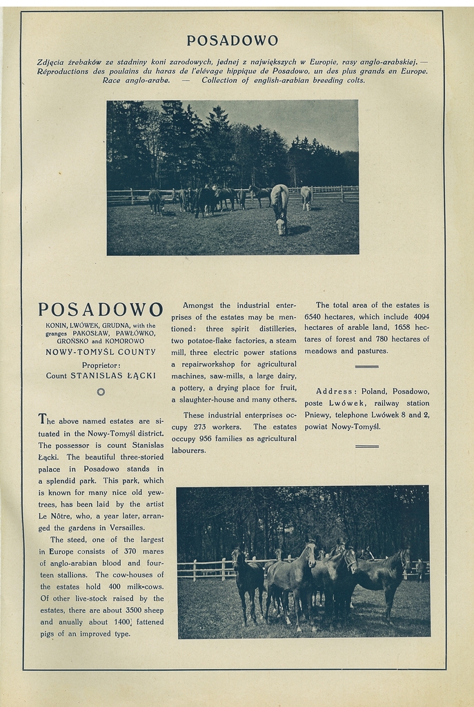 152 posadowo.jpg
